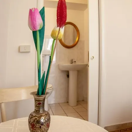 Le Violette Guest house 2*