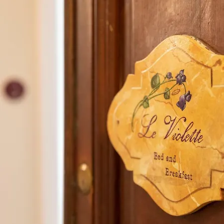 Le Violette 3*